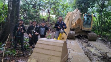 Polda Aceh Ubrak-abrik Tambang Emas Ilegal di Pedalaman Nagan Raya