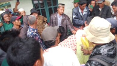 Pekebun di Aceh Tengah Kocar-kacir Dikejar Gajah Liar, Satu Orang Meninggal