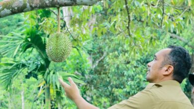 Pj Walkot Sabang Serap Aspirasi Petani untuk Tentukan Kebijakan ke Depan