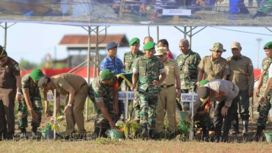 Tanam Magrove di Aceh Besar, Ini Harapan Pangdam IM
