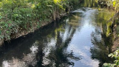 Limbah Sawit Cemari Sungai di Nagan Raya