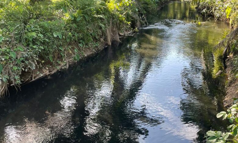 Limbah Sawit Cemari Sungai di Nagan Raya