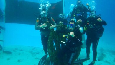 Peringati HUT RI, Wali Kota dan Forkopimda Kibarkan Bendera di Bawah Laut Sabang