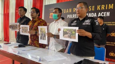 Pencuri Kabel Lampu Landasan Pacu Bandara SIM Ditangkap