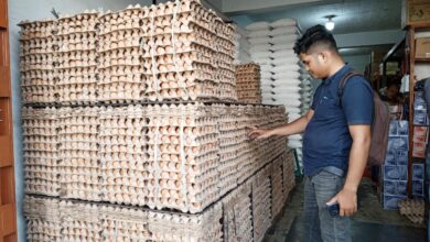 Pembeli memilih telur ayam di