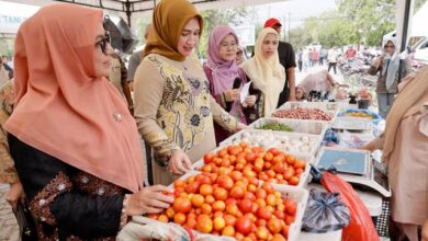 Kata Istri Gubernur Aceh Usai Kunjungi Pasar Tani