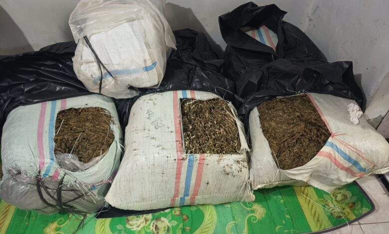 Mobil Bermuatan 50 Kg Ganja Disergap di Bireuen, Satu Orang Ditangkap