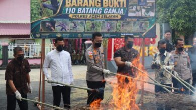 Musnahkan Barang Bukti Ganja, Kapolres Aceh Selatan Tegaskan Komitmen Berantas Narkotika