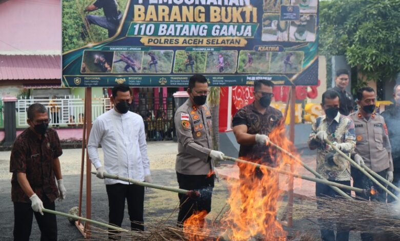 Musnahkan Barang Bukti Ganja, Kapolres Aceh Selatan Tegaskan Komitmen Berantas Narkotika