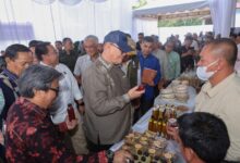 Kopi Gayo hingga Ekowisata, 19 KUPS di Aceh Didorong Naik Kelas Lewat Blended Finance