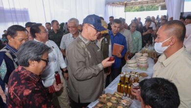 Kopi Gayo hingga Ekowisata, 19 KUPS di Aceh Didorong Naik Kelas Lewat Blended Finance