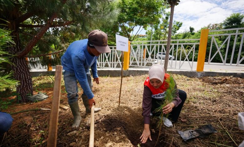 Pertamina Dukung Penghijauan Bukit Sibea-Bea, Salurkan 3.000 Bibit Pinus
